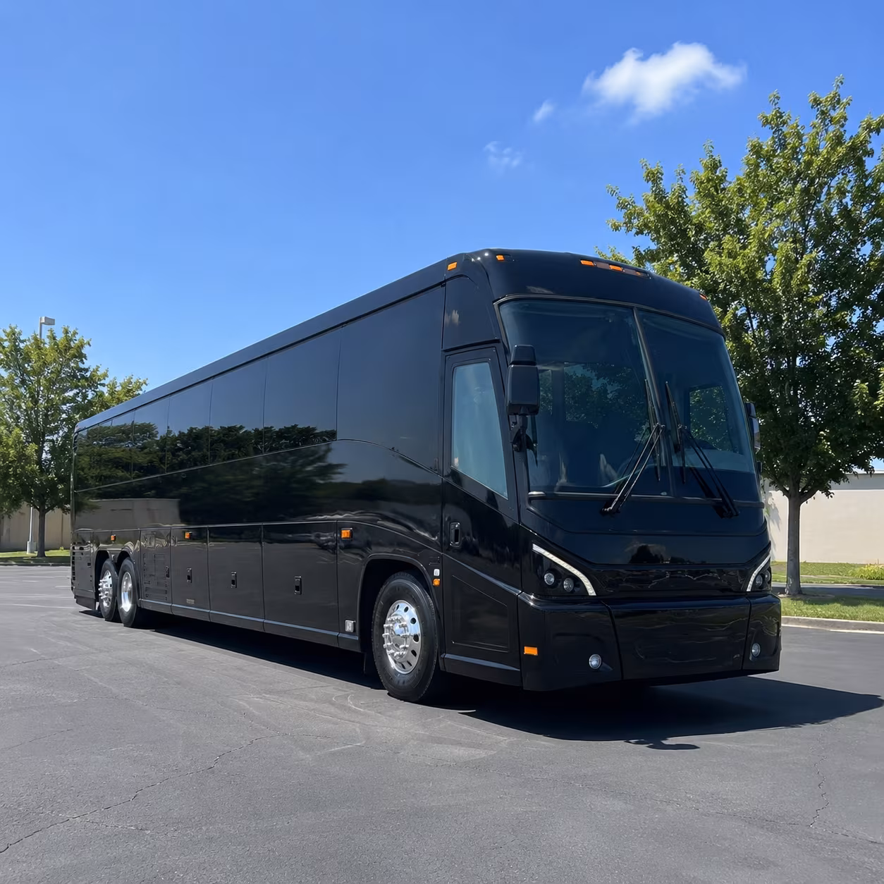 cape coral wedding transportation